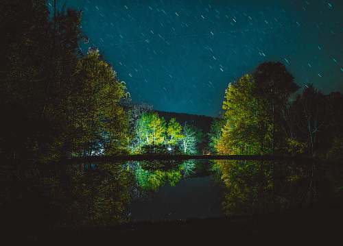 kinzua lake campgrounds landscape photography of trunk above river frewsburg